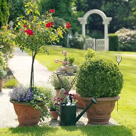 Haus Niedersachsen * Бад-Зальцуфлен