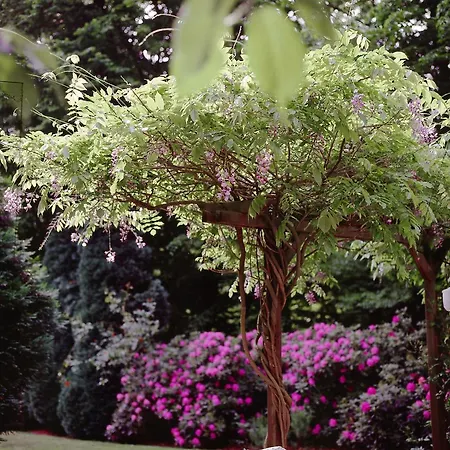 Haus Niedersachsen 巴特萨尔茨乌夫伦