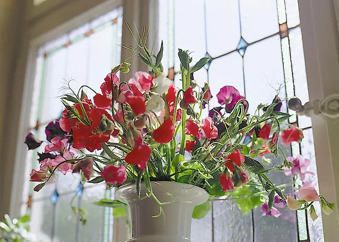 Haus Niedersachsen *