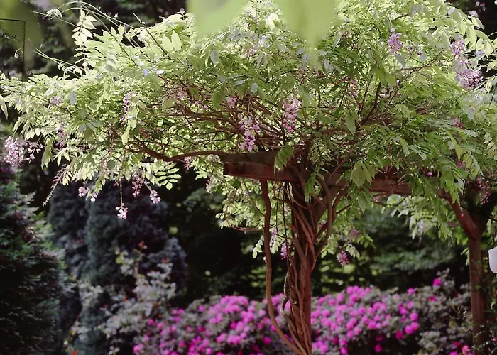 Haus Niedersachsen באד זאלצפלן